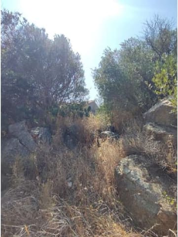 Photo of the lot 7