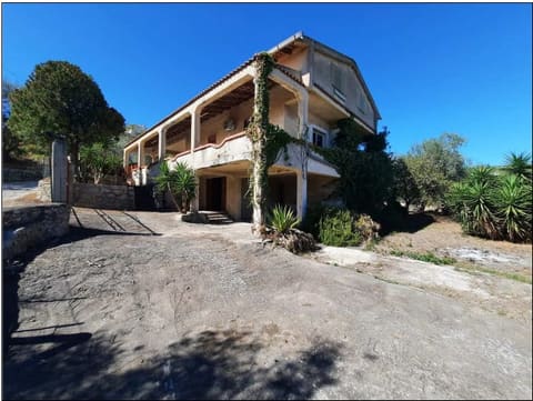 Photo of the lot 2