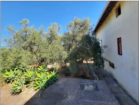 Photo of the lot 3