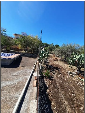Photo of the lot 4
