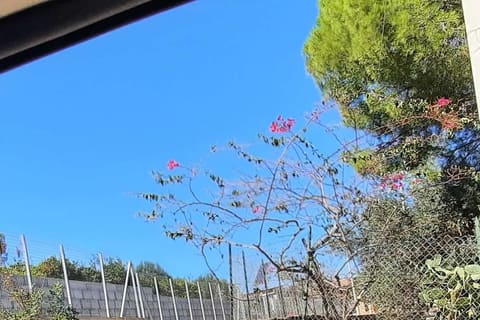 Photo of the lot 7