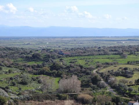 Foto del lotto 4