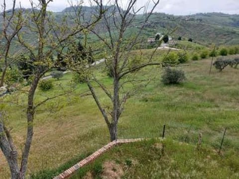 Foto: Altra categoria a Borghi (FC)