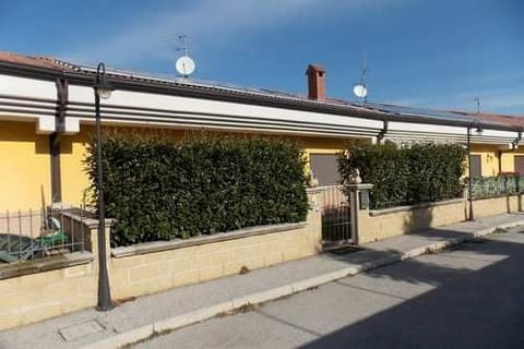 Photo of the lot 3