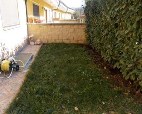 Photo of the lot 4