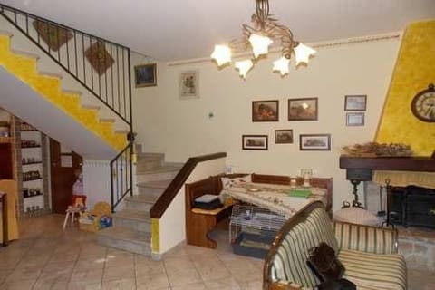 Photo of the lot 7