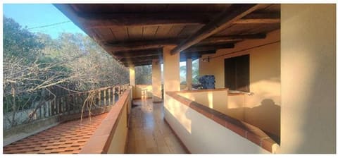 Photo of the lot 2