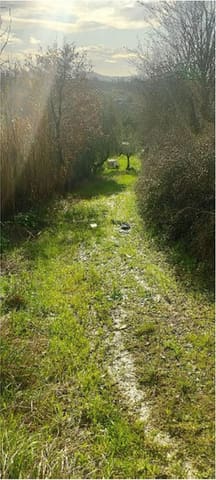 Photo of the lot 4