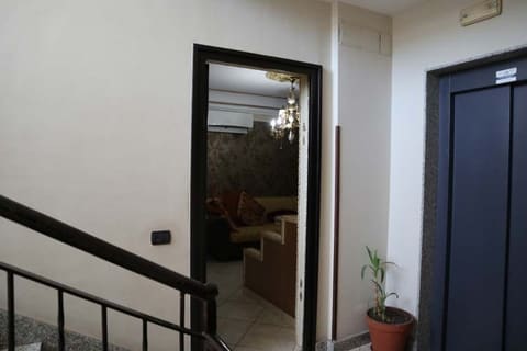 Photo of the lot 5