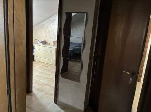 Photo of the lot 7