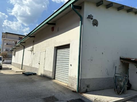 Photo of the lot 5