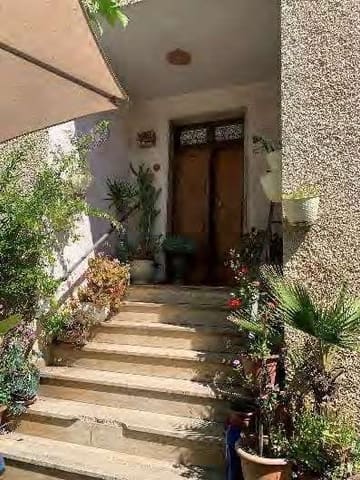 Photo of the lot 3