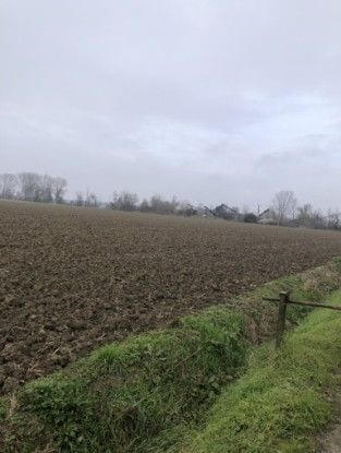 Photo of the lot: Land in Arena Po