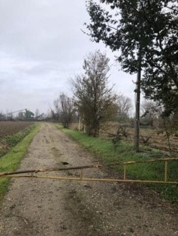 Photo of the lot 2