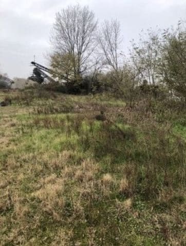 Photo of the lot 3
