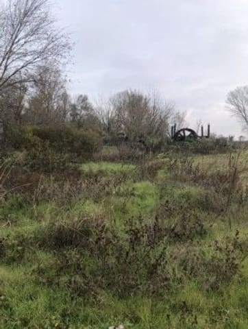 Photo of the lot 4