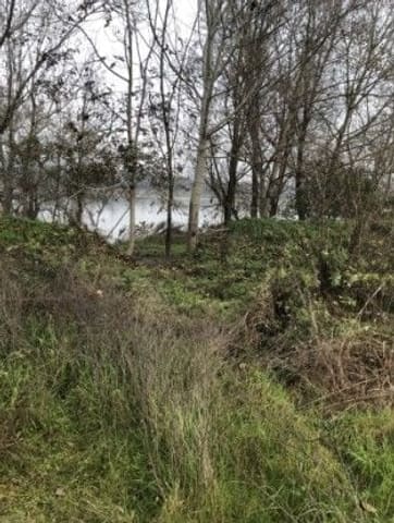 Photo of the lot 6