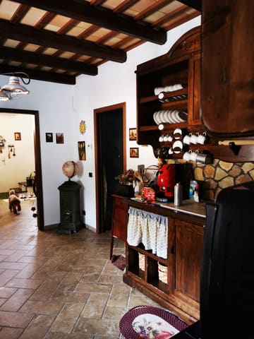 Photo of the lot 3