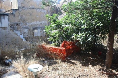 Photo of the lot 2
