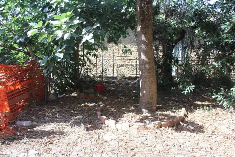 Photo of the lot 5