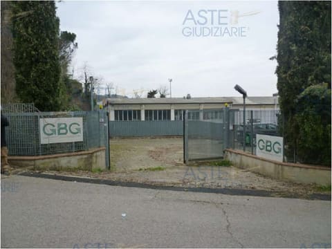 Photo of the lot 1