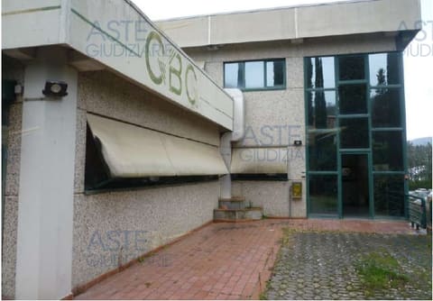 Photo of the lot 2