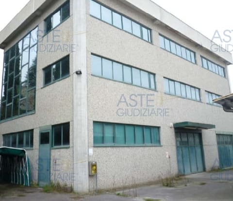 Photo of the lot 4