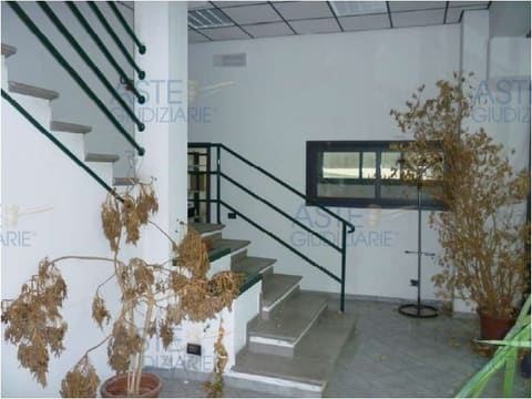 Photo of the lot 5
