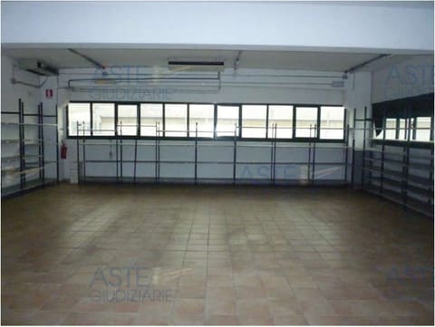 Photo of the lot 6