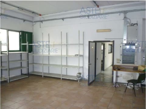 Photo of the lot 7