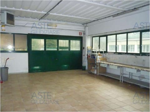 Photo of the lot 8