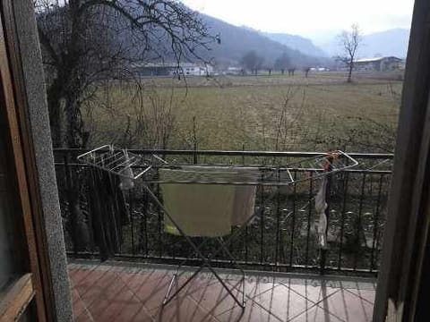 Photo of the lot 3