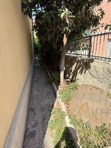 Photo of the lot 4