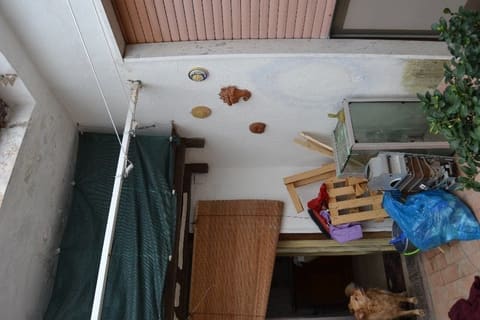 Photo of the lot 3