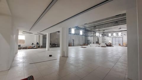 Photo of the lot 6