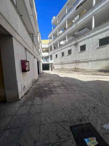 Photo of the lot 3