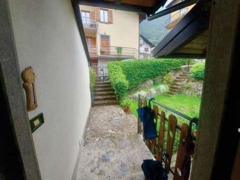 Photo of the lot 6