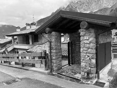Photo of the lot 5