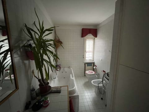 Photo of the lot 8