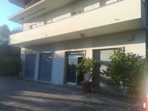 Photo of the lot 2