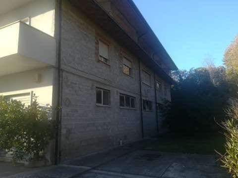 Photo of the lot 3