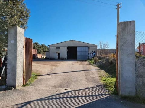 Photo of the lot 3