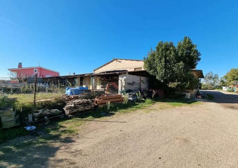 Photo of the lot 2