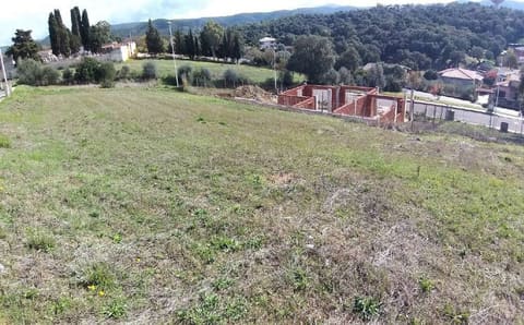 Photo of the lot 6