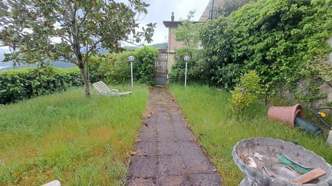Photo of the lot 4