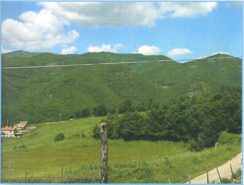 Photo: Altra categoria in Abriola (PZ)