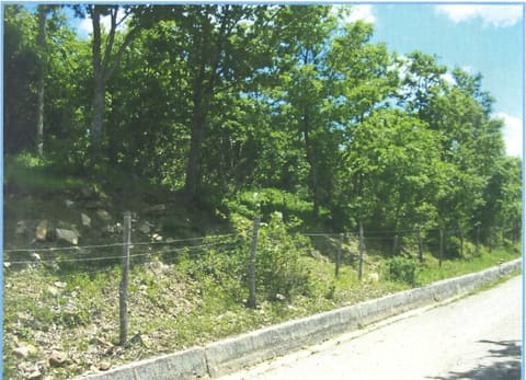 Photo of the lot 2