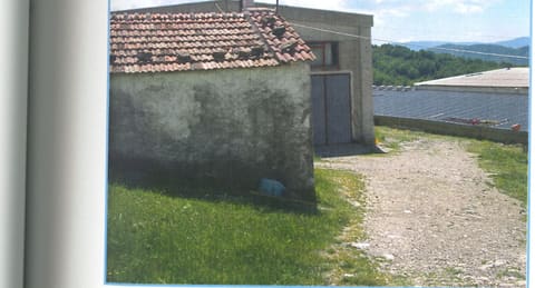 Photo of the lot 5