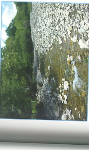 Photo of the lot 2