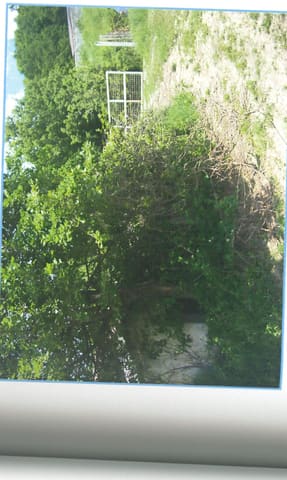 Photo of the lot 3